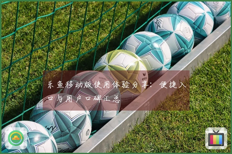 乐鱼移动版使用体验分享：便捷入口与用户口碑汇总