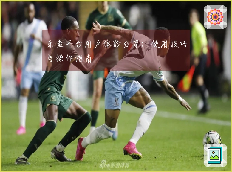 乐鱼平台用户体验分享：使用技巧与操作指南